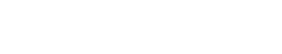 Arystrix